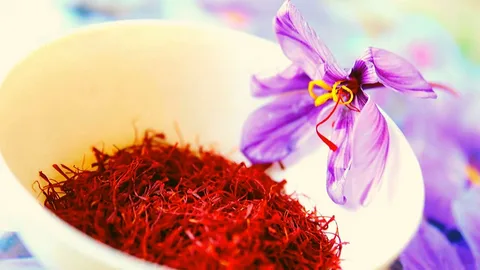 تصویر 1 از خرید زعفران قائنات + قیمت فروش استثنایی